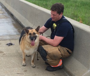 Columbus Firefighter Jeff Brown pets a German Shepard as his owner retrieves items from a burned vehicle. Photo courtesy of Columbus Fire Department